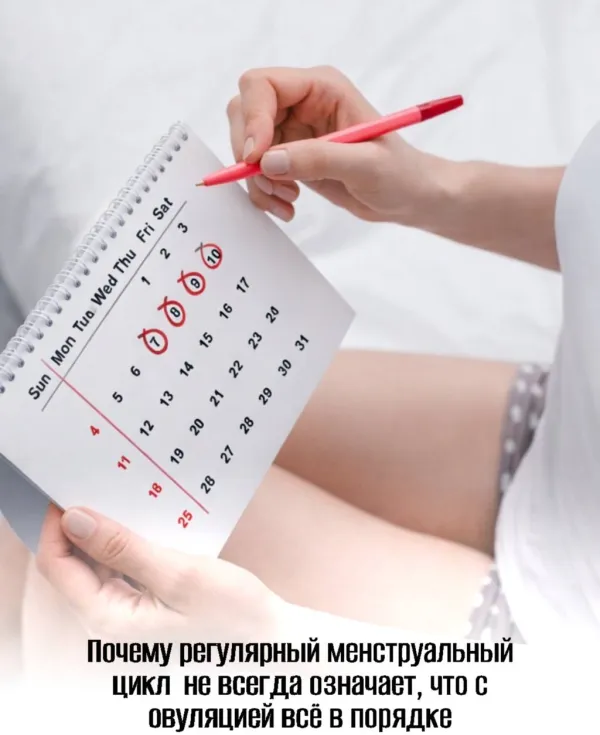 Регулярный цикл ≠ овуляция: почему менструация может быть без выхода яйцеклетки
